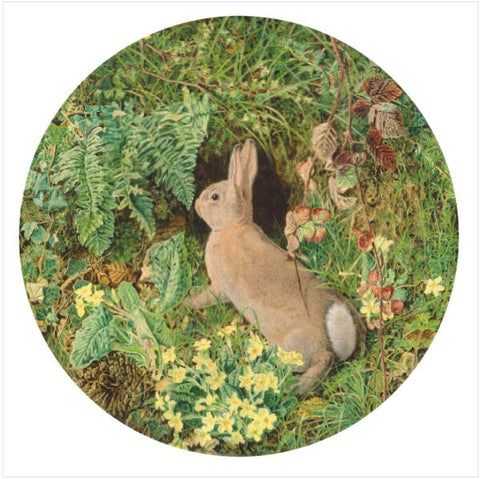 Rabbit Amid Ferns and Flowering Plant by William J. Webbe