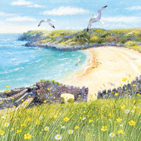 Secret Cove By Lucy Grossmith