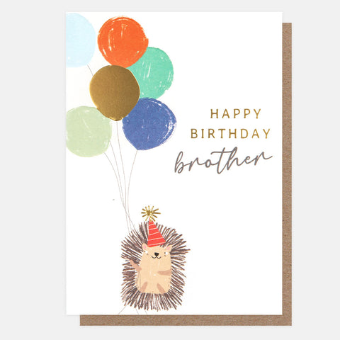 Happy Birthday Brother Hedgehog