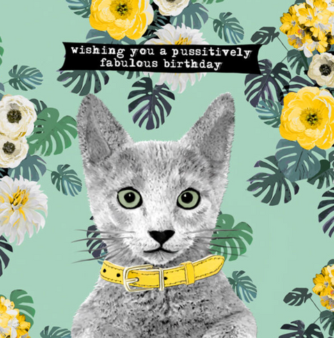 Pussitively Fabulous Birthday Card