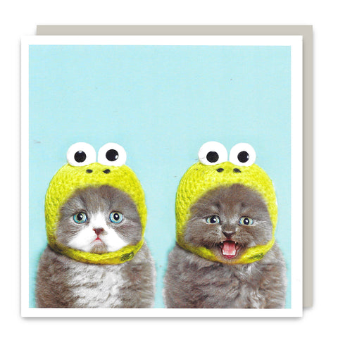 Twin Cat Hat Greetings Card